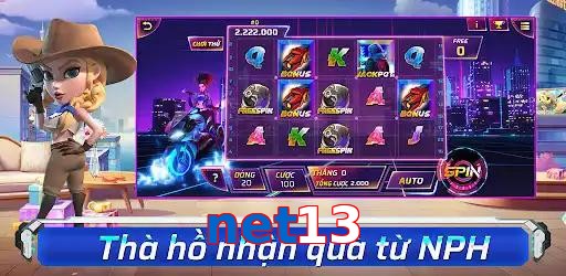 net13