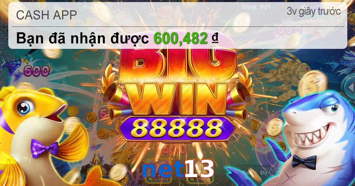 net13