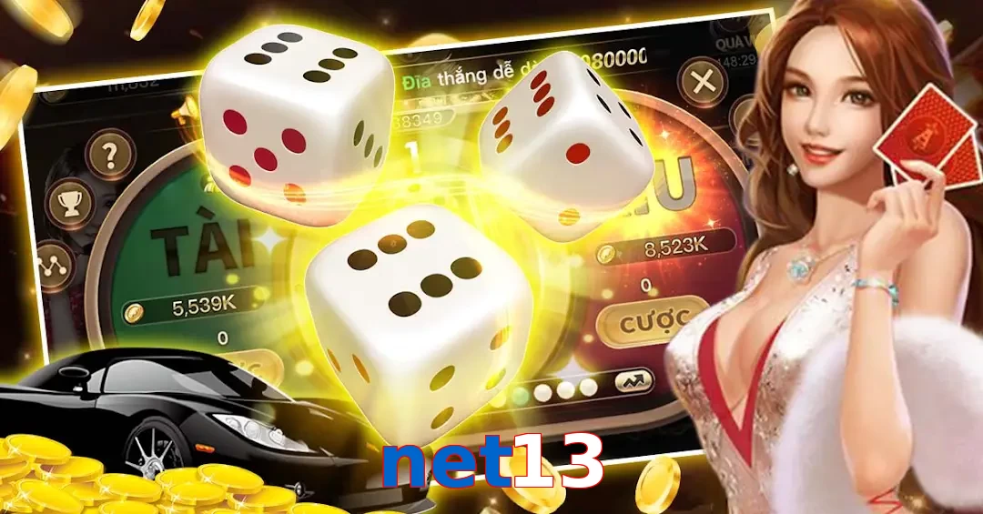 net13