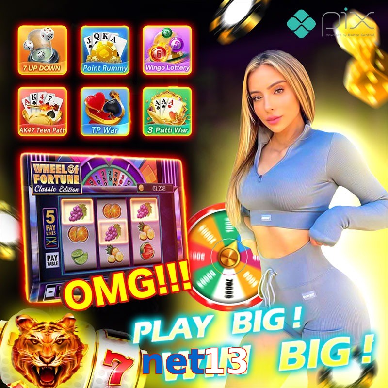 net13