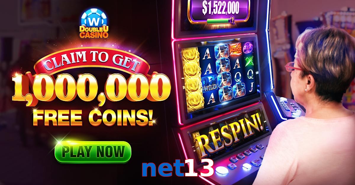 net13