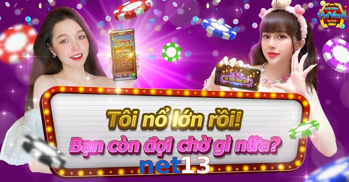 net13