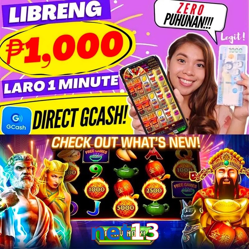 net13
