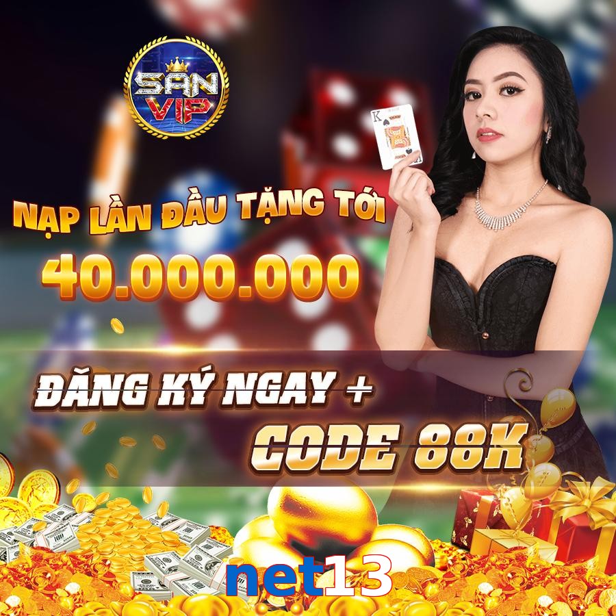 net13