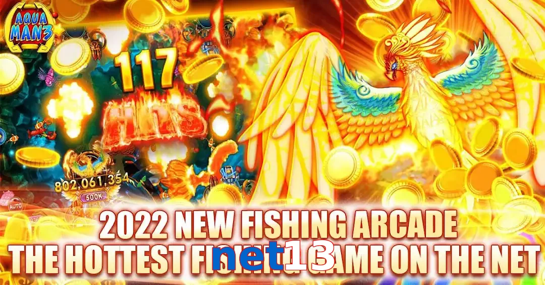 net13
