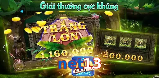 net13