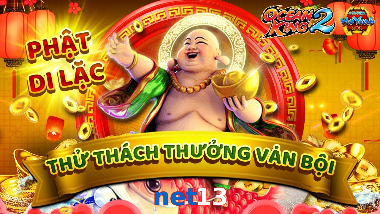 net13