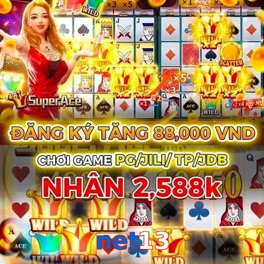net13