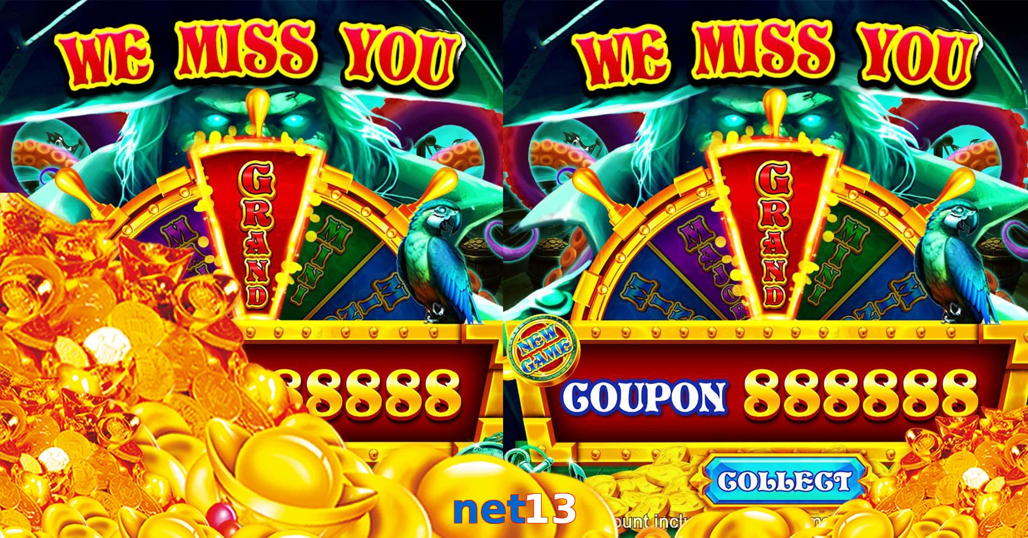 net13