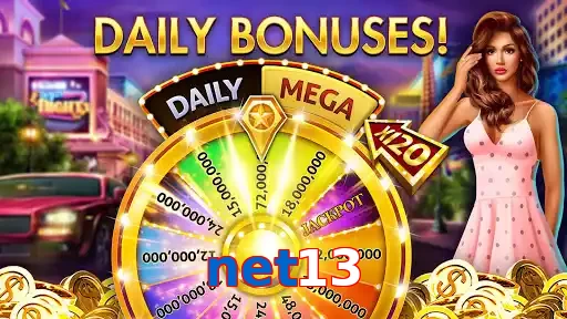 net13