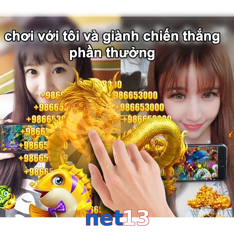net13
