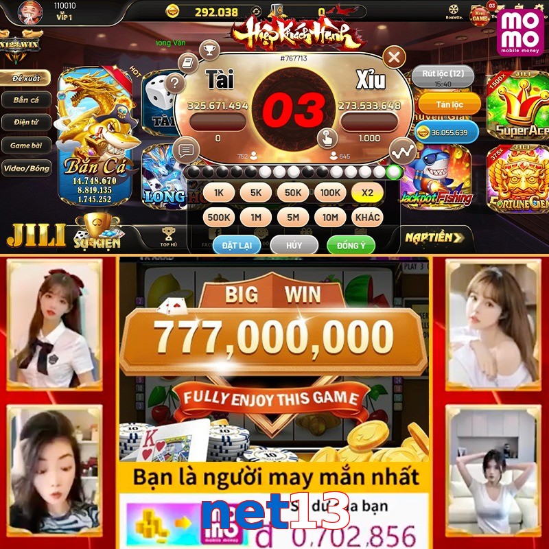 net13