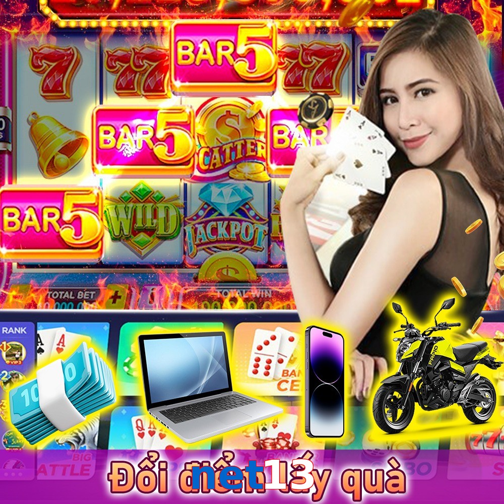 net13