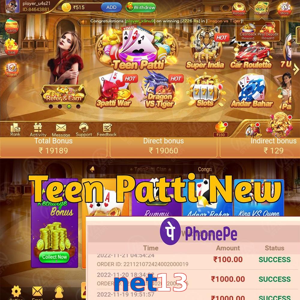 net13