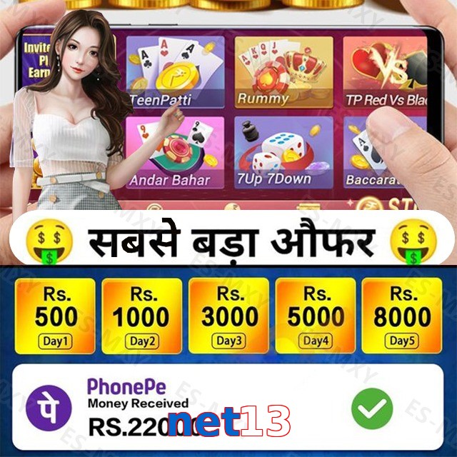 net13