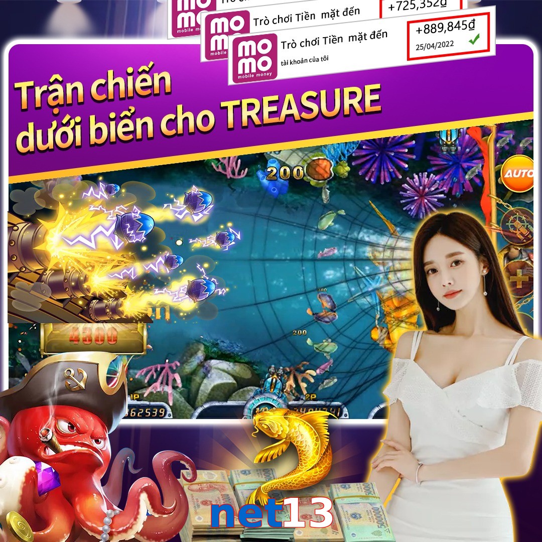 net13