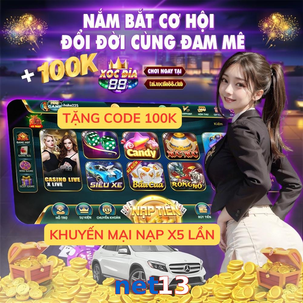net13
