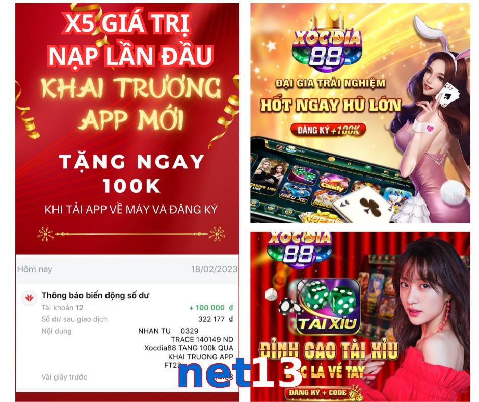 net13