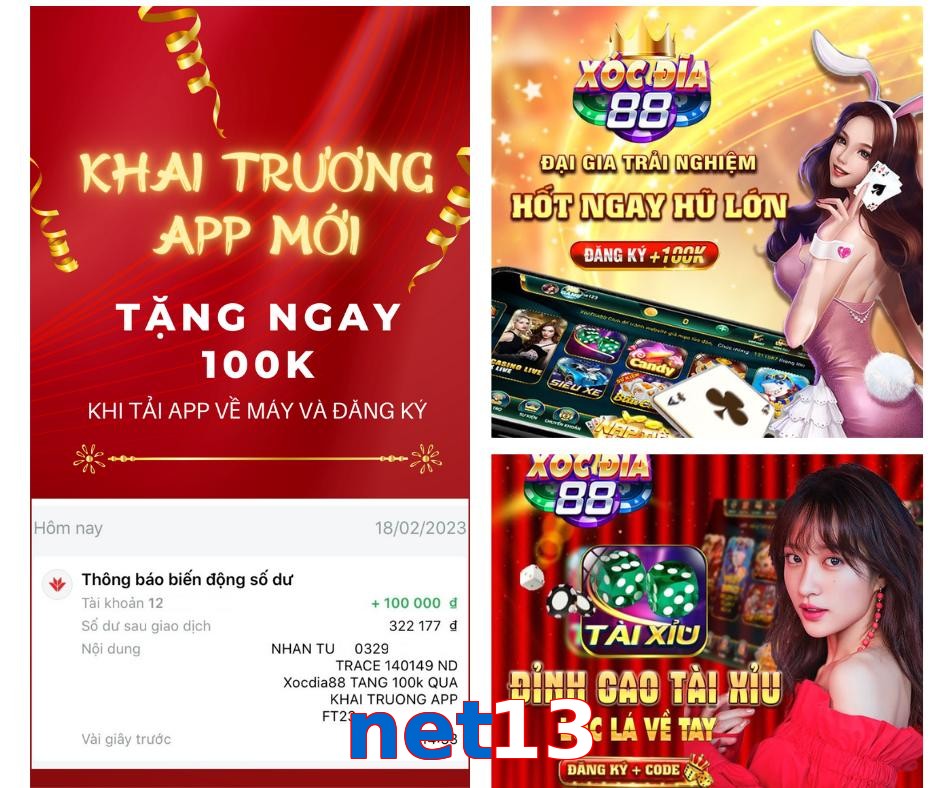 net13
