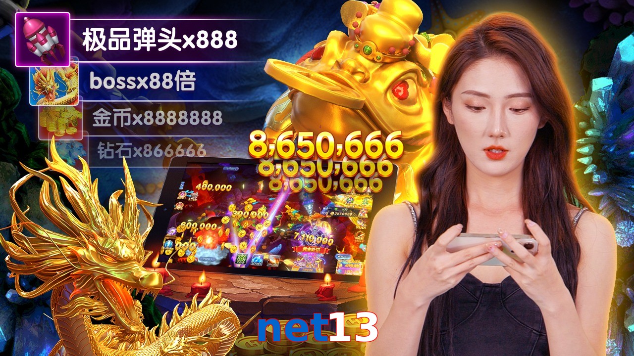 net13