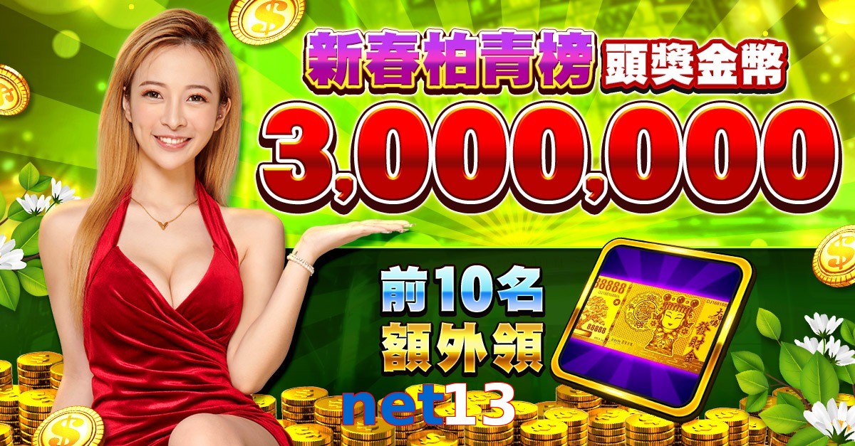 net13