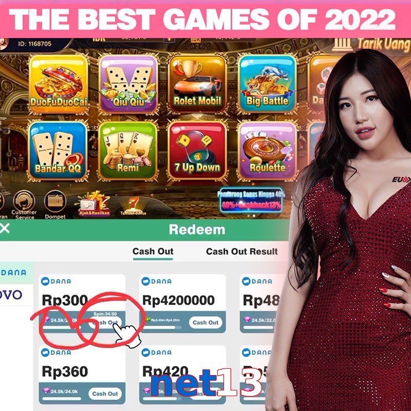 net13