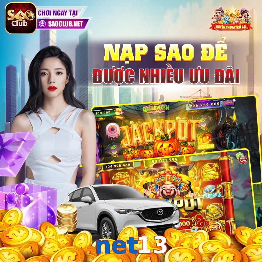 net13